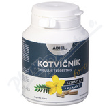 Kotvink zemn FORTE s vitamnem E cps. 90