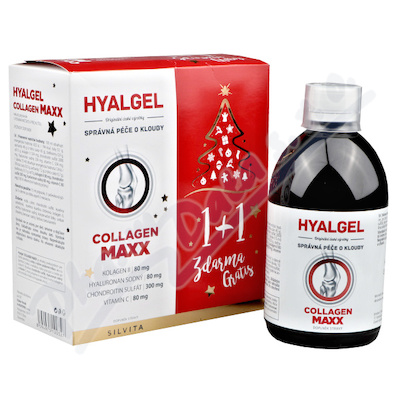 Hyalgel Collagen MAXX vnon balen 2020 2x500 ml