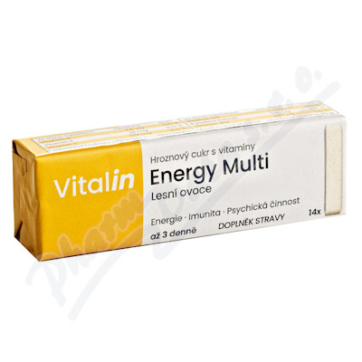 Vitalin Energy Multi Lesn ovoce tbl.14